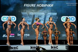 FIGURE НОВИЧКИ